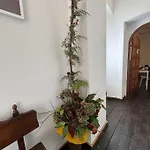 La Della Mandria 1 *