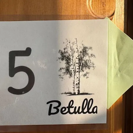 La Della Mandria 1 Venaria Reale